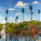 Illustration for article titled Extraordinary 298-Million-Year-Old Forest Discovered Under Chinese Coal Mine